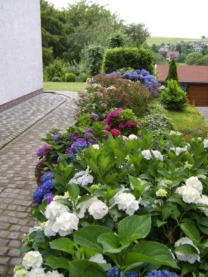 Ferienwohnung "Am Fuchsgraben" Tholey Bagian luar foto